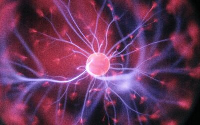 Yoga For The Brain Workshop